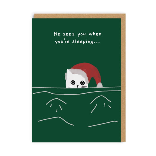 Ken The Cat 'He Sees You When You're Sleeping' - Greeting Card