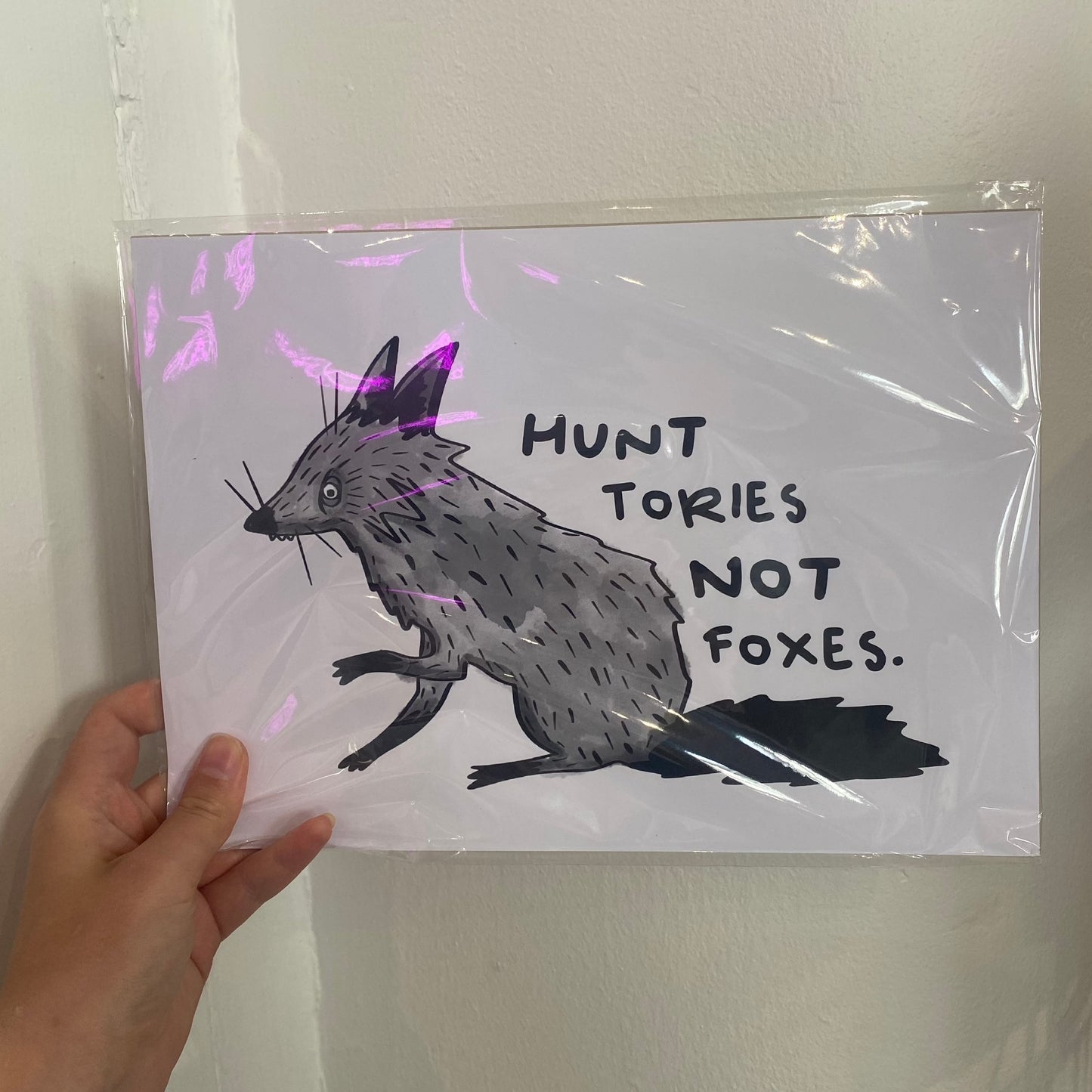 Hunt Tories Not Foxes - A4 Print