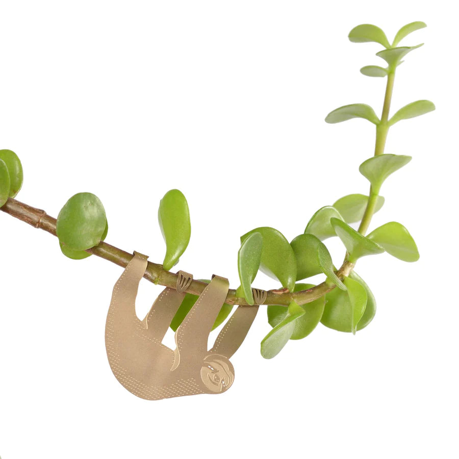 Sloth - Plant Animal