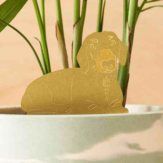 Daschund - Plant Animal