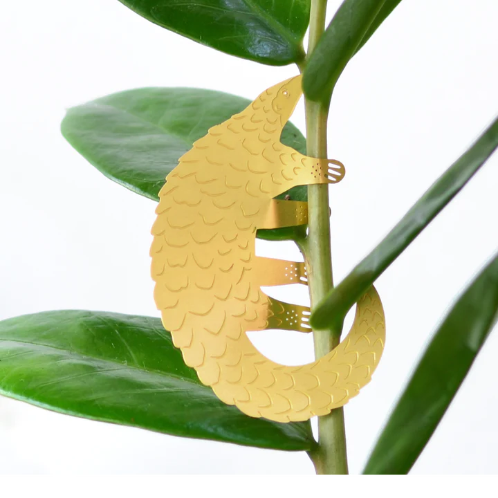 Pangolin - Plant Animal