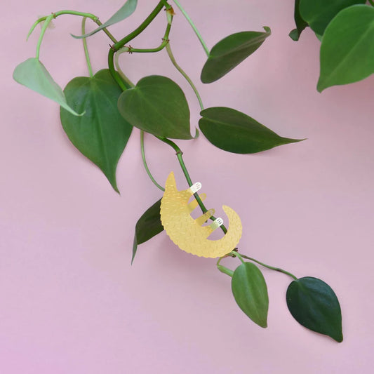 Pangolin - Plant Animal