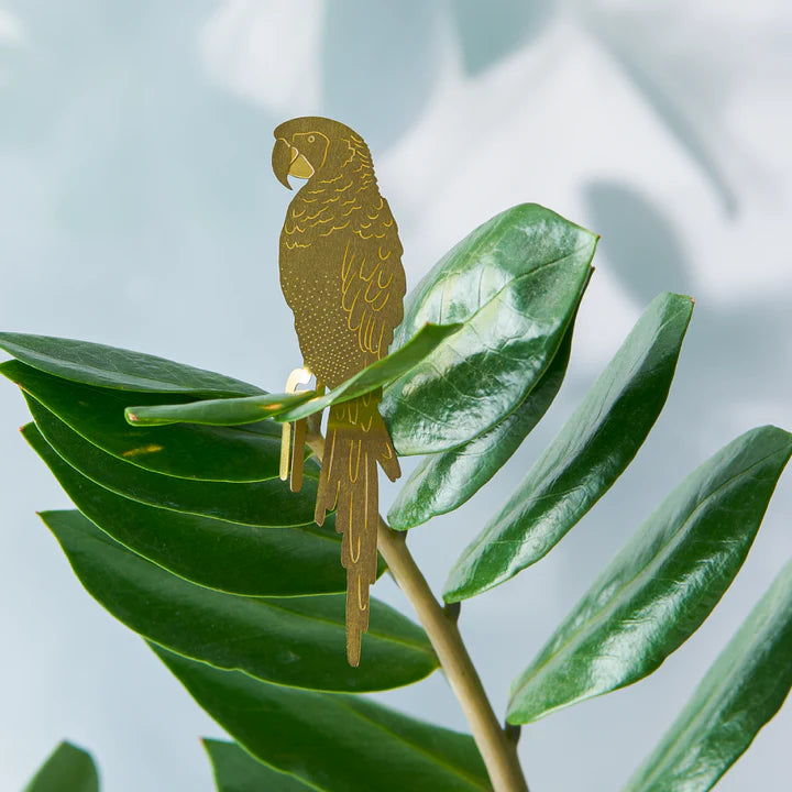 Parrot - Plant Animal