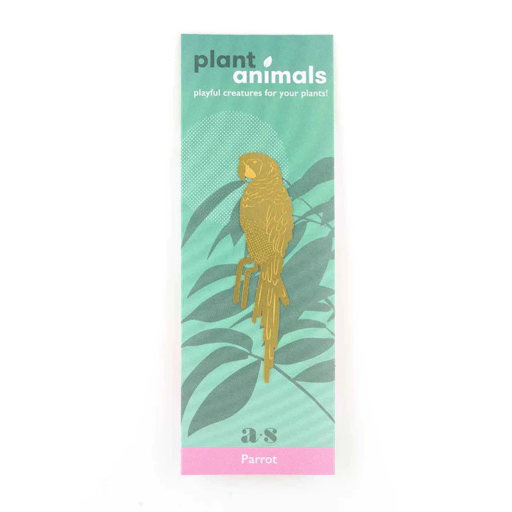 Parrot - Plant Animal