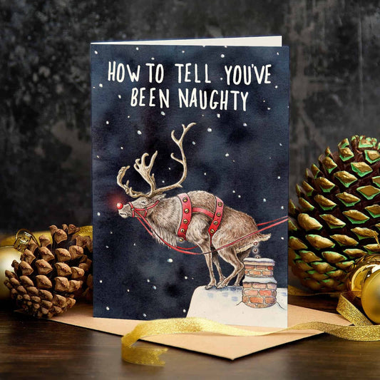 How to tell you’ve been naughty - Greetings Card