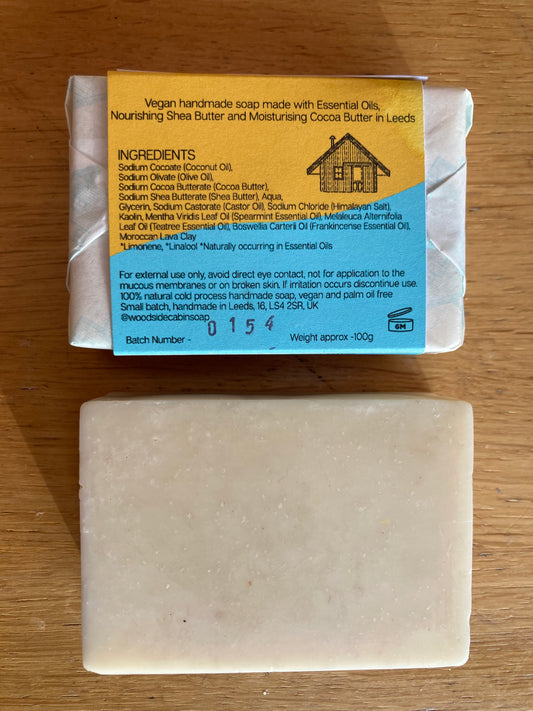 Spearmint, Teatree and Frankincense with Moroccan Lava Clay Soap