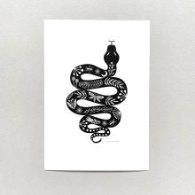 A4 snake illustration