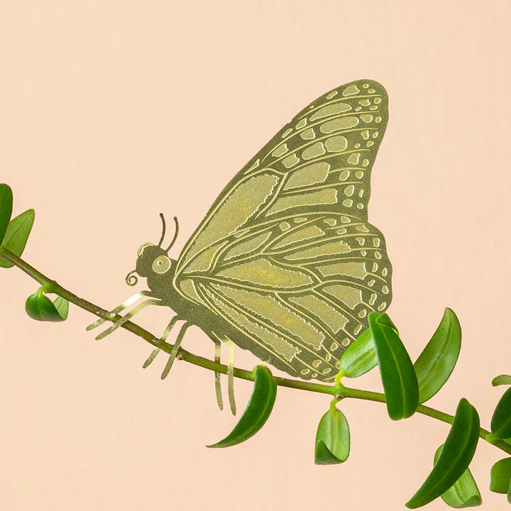 Butterfly - Plant Animal