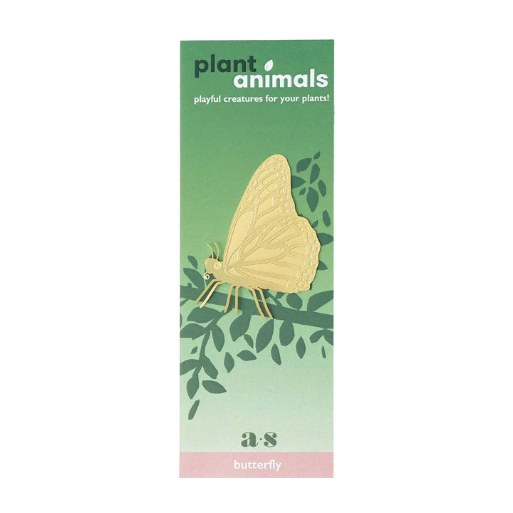 Butterfly - Plant Animal
