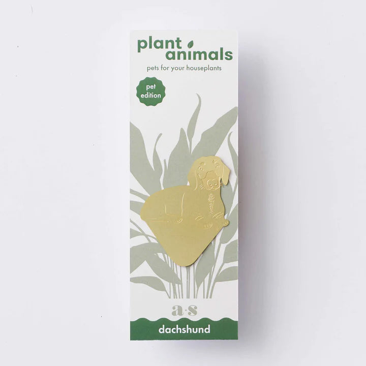 Daschund - Plant Animal