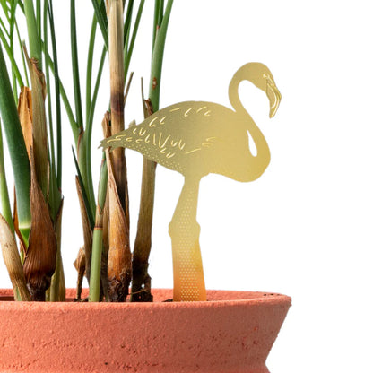 Flamingo - Plant Animal