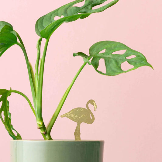 Flamingo - Plant Animal