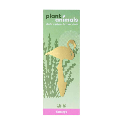 Flamingo - Plant Animal
