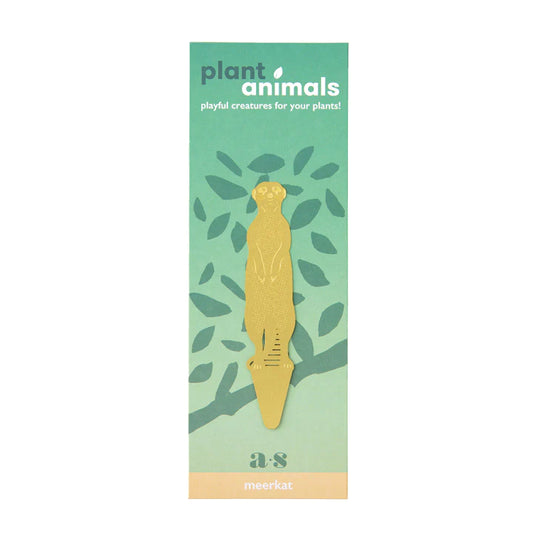 Meerkat - Plant Animal