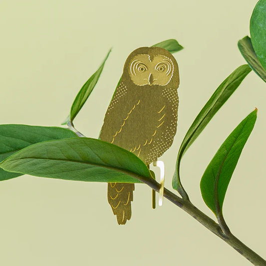 Owl - Plant Animal