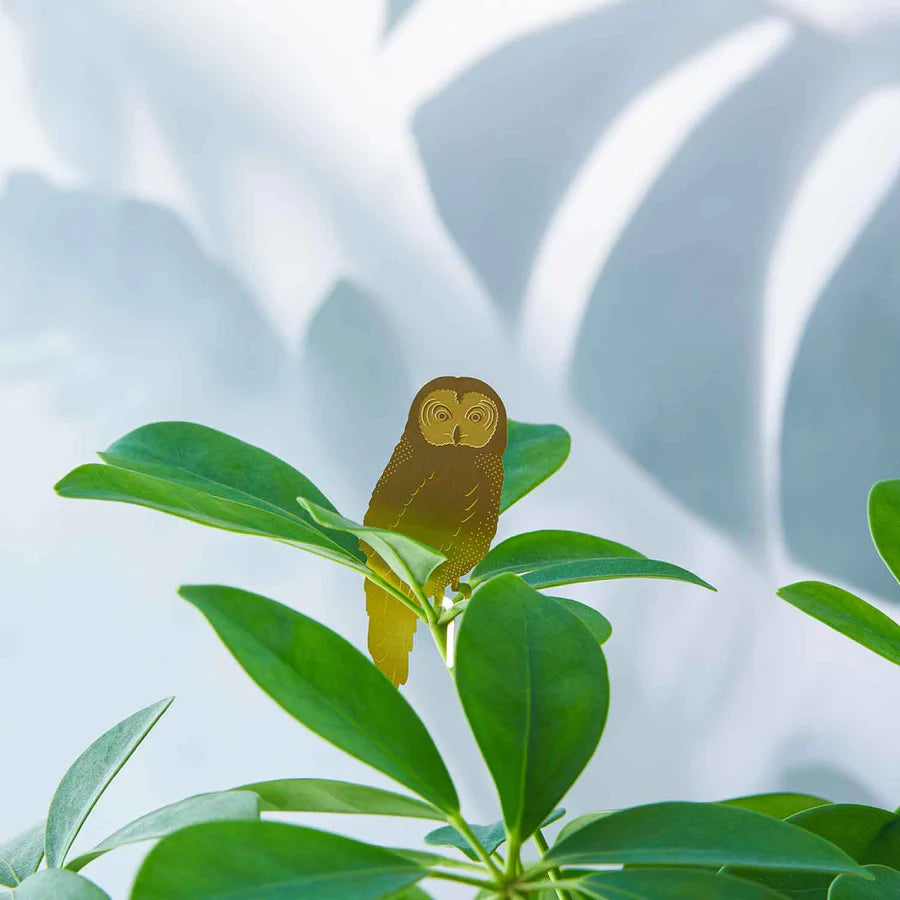 Owl - Plant Animal