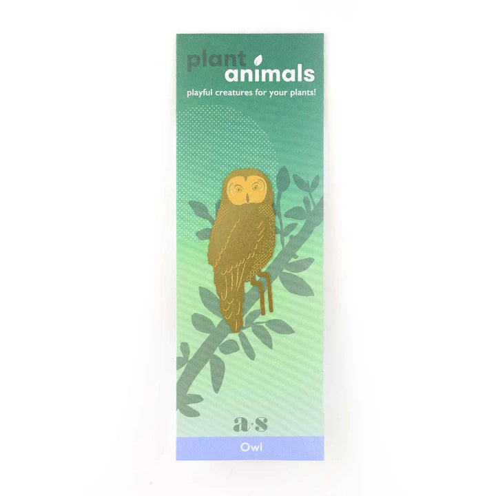 Owl - Plant Animal