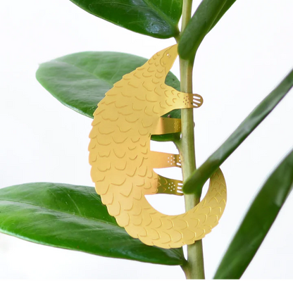 Pangolin - Plant Animal
