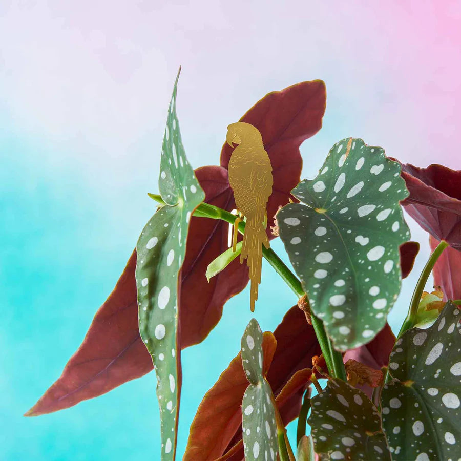 Parrot - Plant Animal