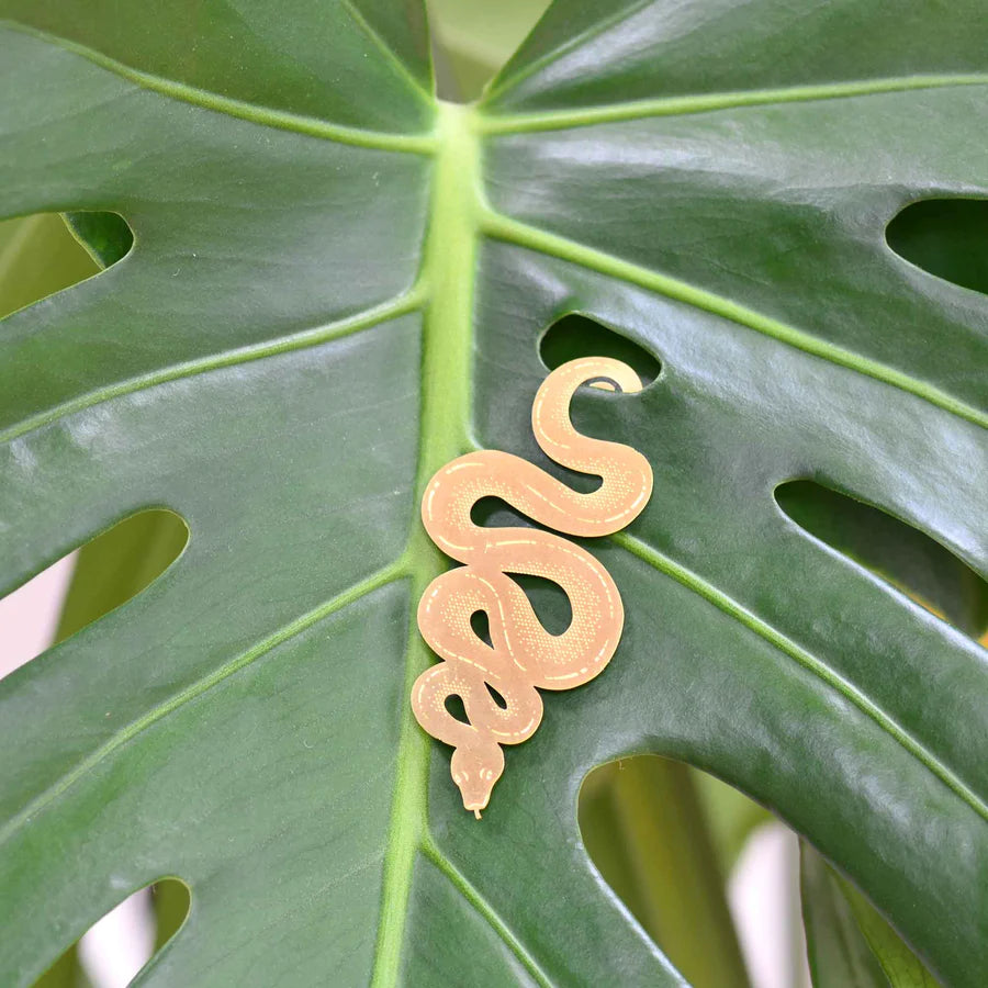 Snake - Plant Animal